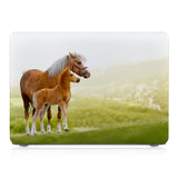 MAC-HORSE3-03COUPLEGRASS